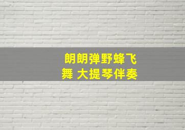 朗朗弹野蜂飞舞 大提琴伴奏